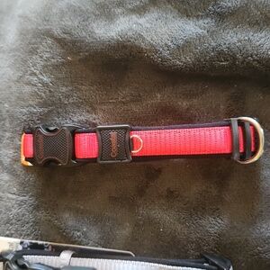 🔴Coastal inspire dog collar